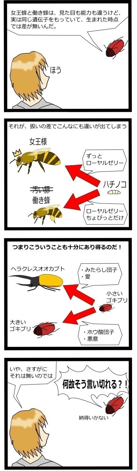 ミツバチの幼虫はローヤルゼリーをずっと食べていると、体内で幼若ホルモンというのが25倍多く作られ、その結果、なかなか成虫にならずに幼虫のまま大きく育つことができ、最終的に女王になれるのです。（参考文献：生態進化発生学（東海大学出版会））