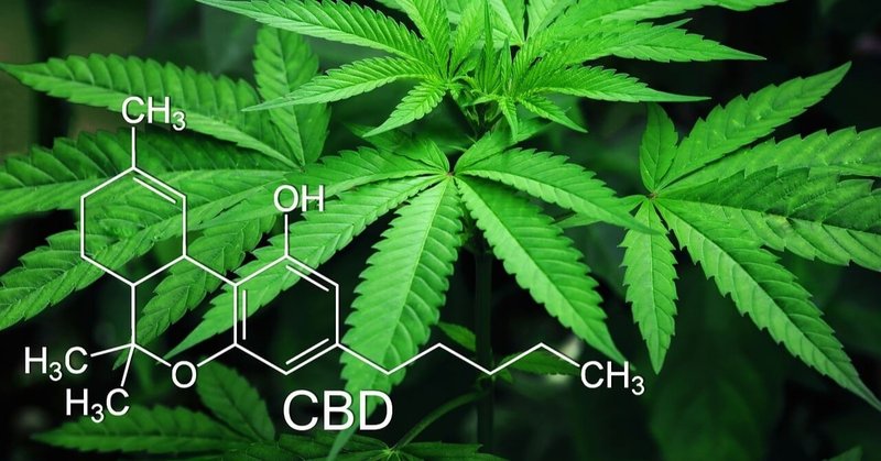 Cbdとは 違法大麻との違いや法律 使われてきた歴史を詳しく知る 麻実 Cbd Note