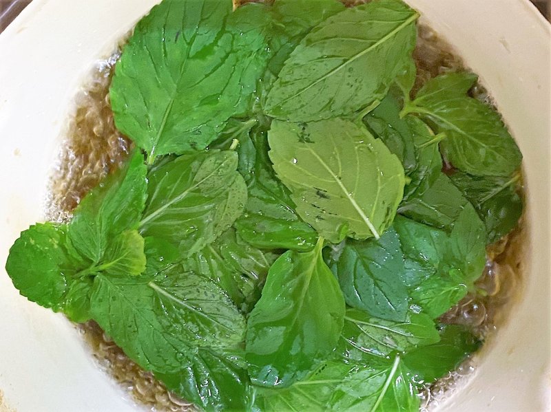 メディカルハーブを育てませんか 3 ミントシロップで夏をのりきれるか Miho Yoshida 建築士 おうち健康学 Note