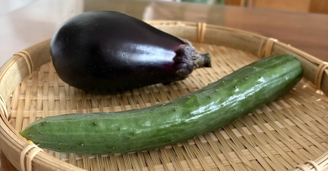 母ちゃんのつぶやき⑩】茄子収穫🍆✂️｜子連れ母ちゃんの記録📕by