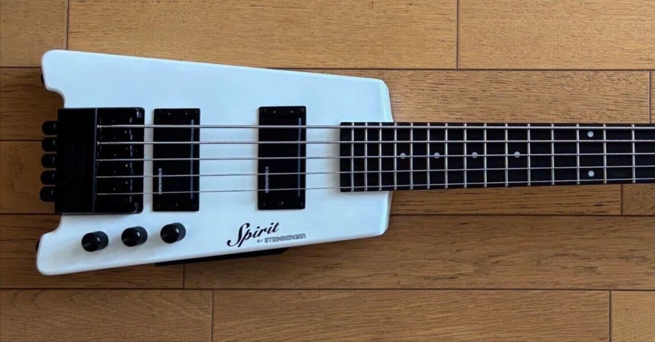 Steinberger Spirit XT-25を買った。｜ぺこり