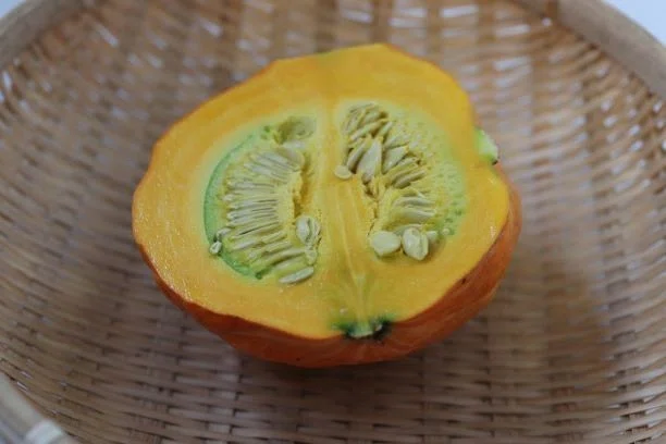 画像5