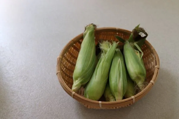 画像11