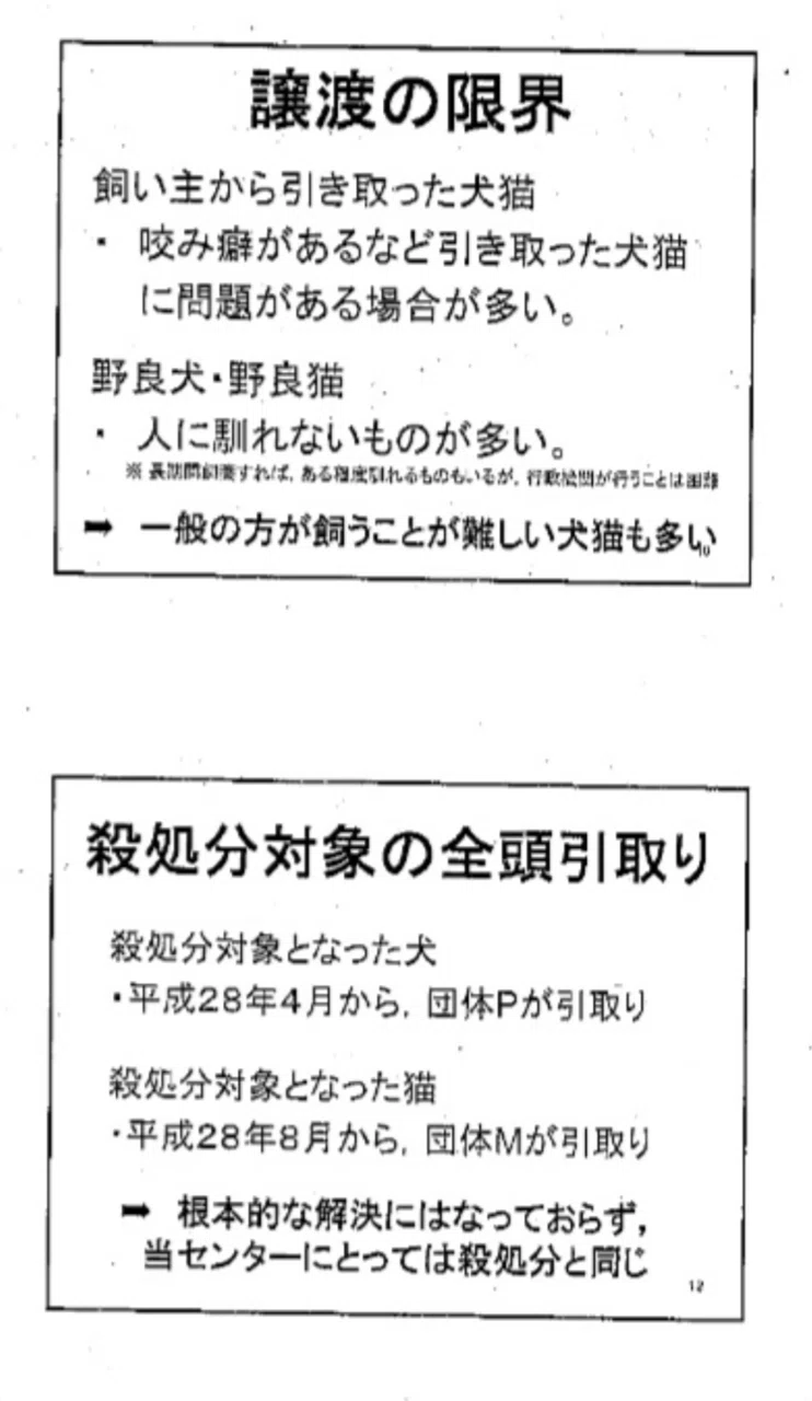 譲渡適性で犬を選別処分①～広島県「ゼロ」目標の例外広げ、ピース
