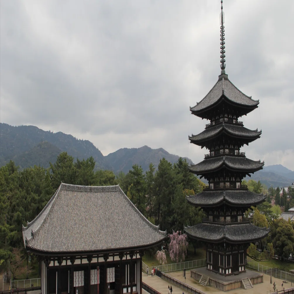 興福寺五重塔｜のぶえもん”Nobuemon”の秘密基地
