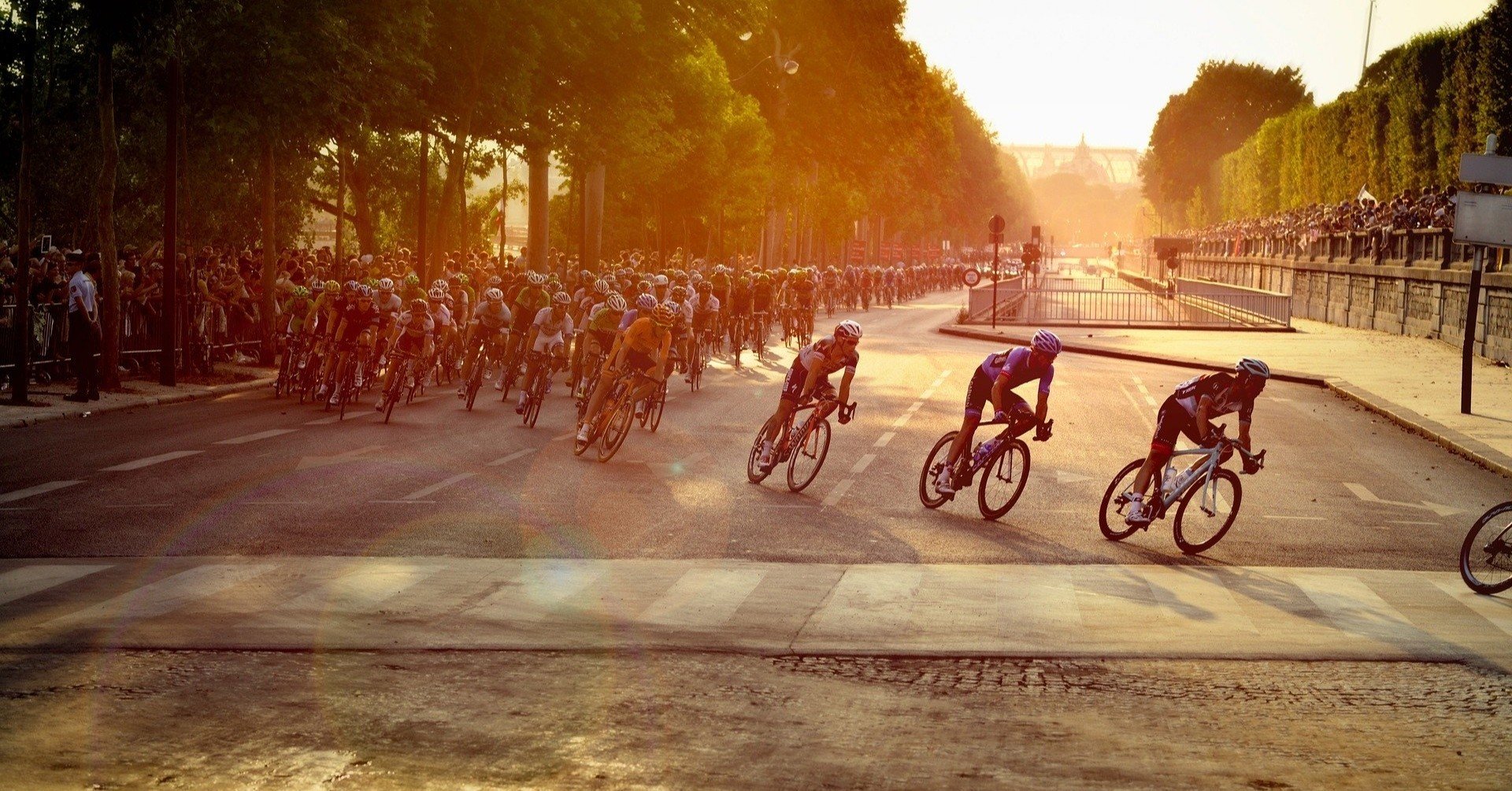 サイバー空間でプロスポーツ選手が競い合う バーチャル版ツール ド フランスに見る身体性とデジタル ツイン 高木聡一郎 東京大学大学院教授 サイバー空間でプロスポーツ選手が競い合う バーチャル版ツール ド フランスに見る身体性とデジタル ツイン 高木聡一郎 東京大学大学院教授