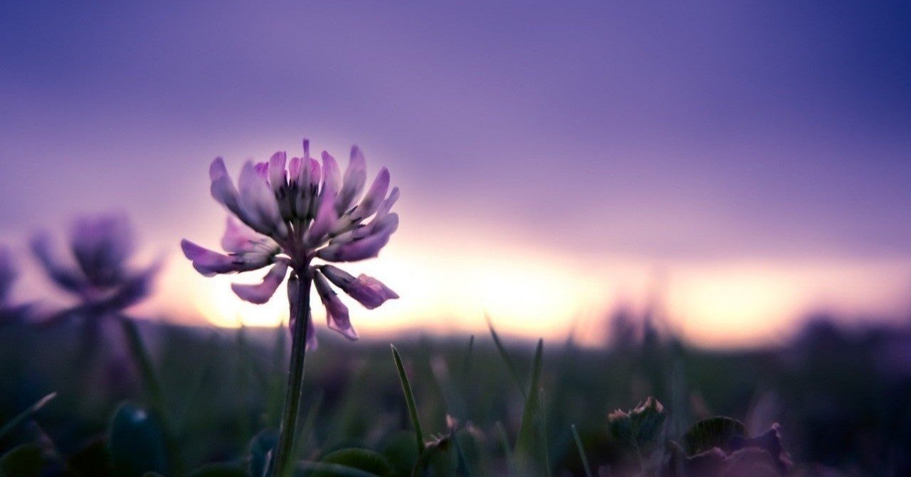 エジプト 西洋の創造神話の共通点 神々の伝承から学ぶ マナビ研究室 Note エジプト 西洋の創造神話の共通点 神々の伝承から学ぶ マナビ研究室 Note