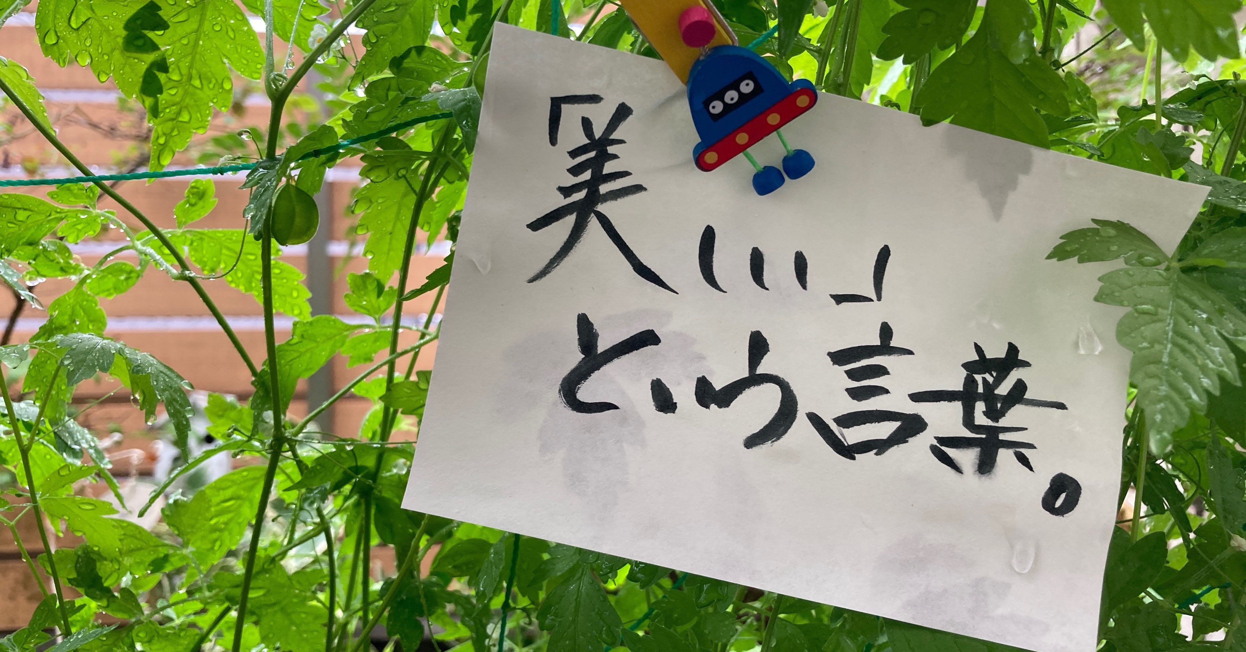 美しい という言葉 中村テッセン Note 美しい という言葉 中村テッセン Note
