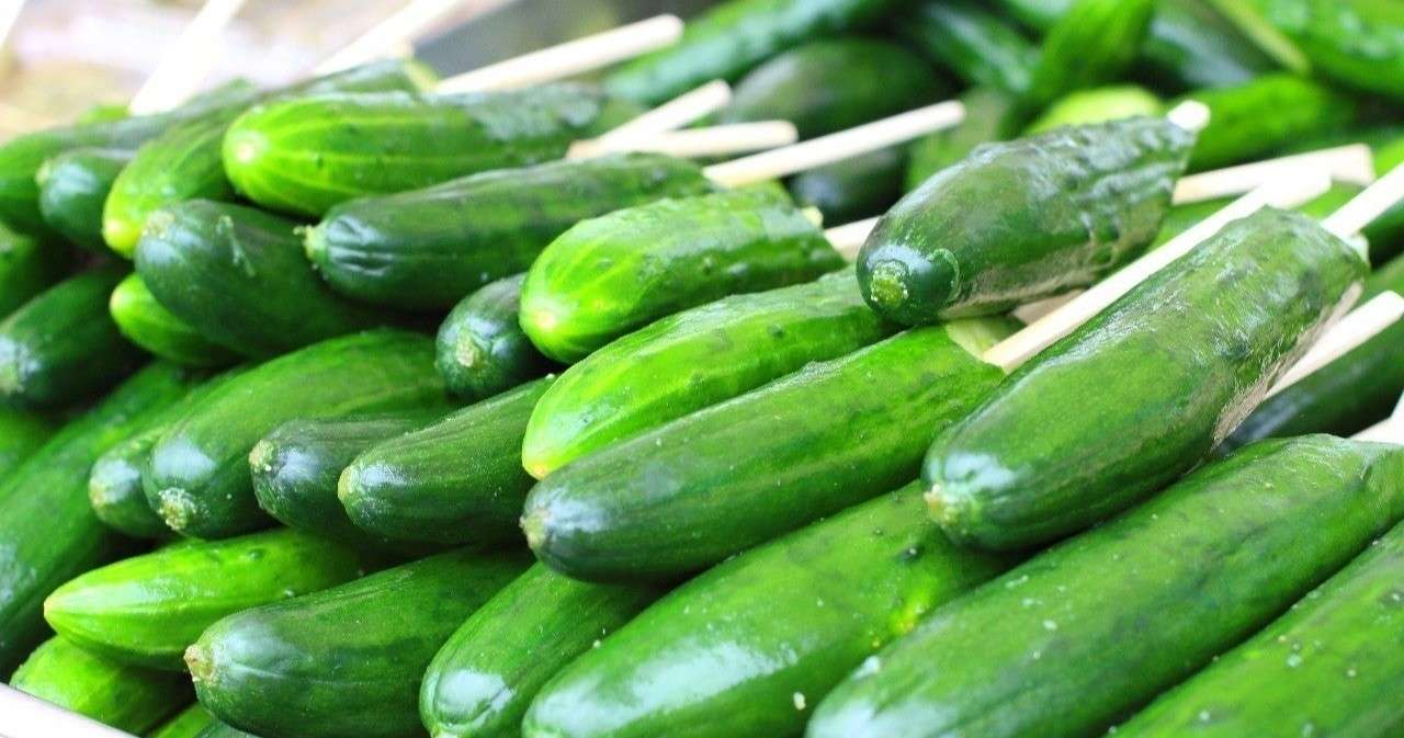 管理栄養士 が食材の特徴を書くだけの記事 きゅうり編 管理栄養士 心と体の休憩所 Note