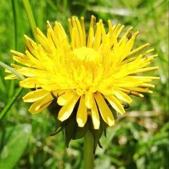 気分を上げる1曲 ひら Note