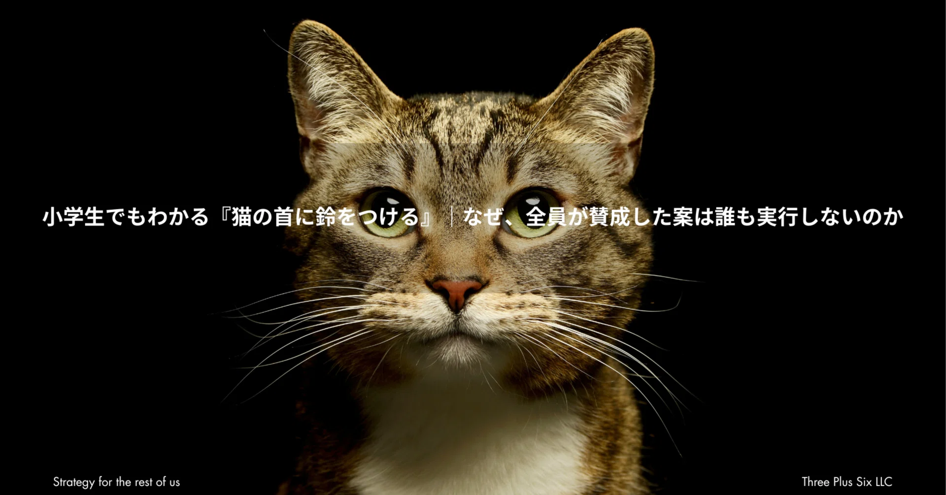 小学生でもわかる「猫の首に鈴をつける」｜なぜ、全員が賛成した案は誰