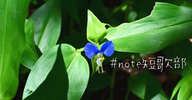 7月6日 誕生花は露草 Note短歌部 御子柴 流歌 Note