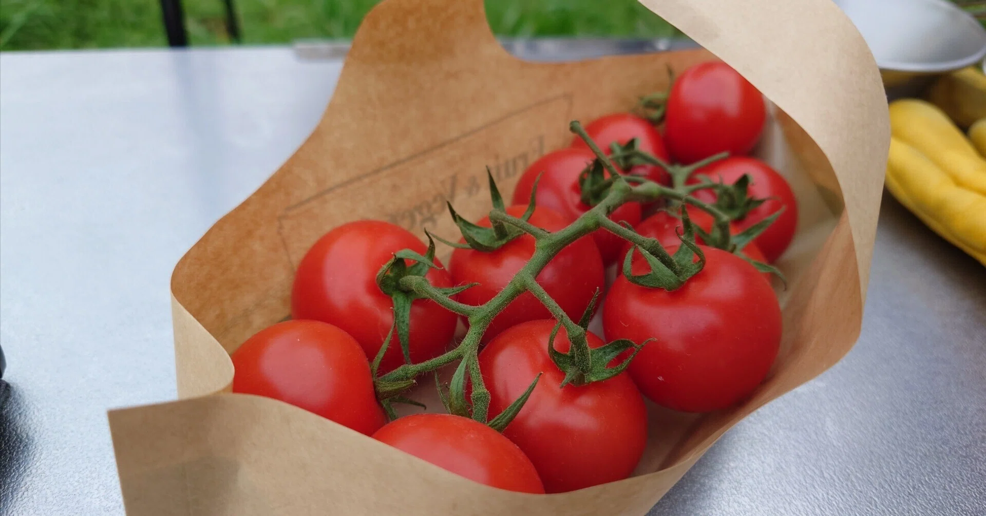 June 1, 2024 FUJI TOMATO FIELD (2)｜山水鹿緒