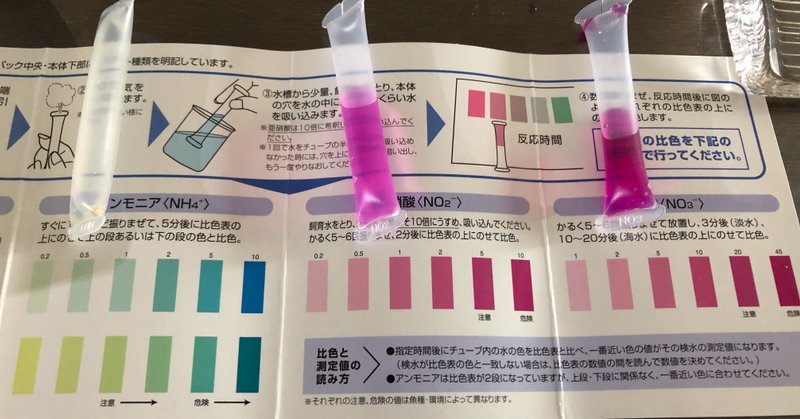 水槽の立ち上げ その1 ぬまちん Note