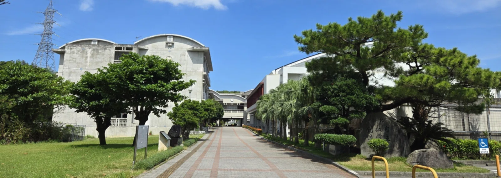 活動歴および当時の関連ビジュアル記録