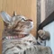 あお@♪