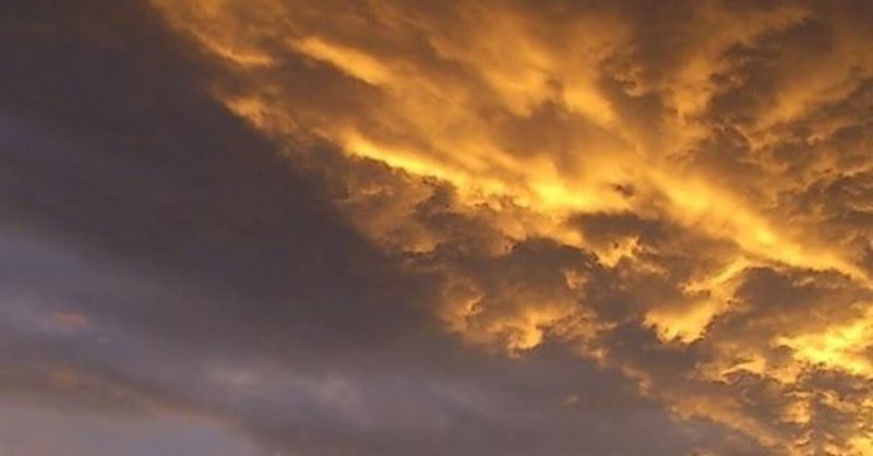 【コロ休み特別企画 vol.10】益山詩集２