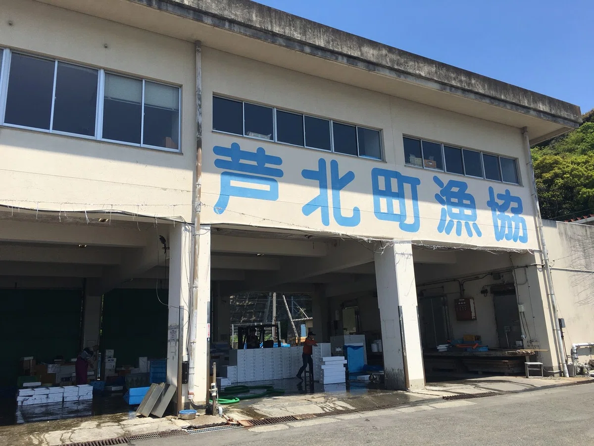 画像1