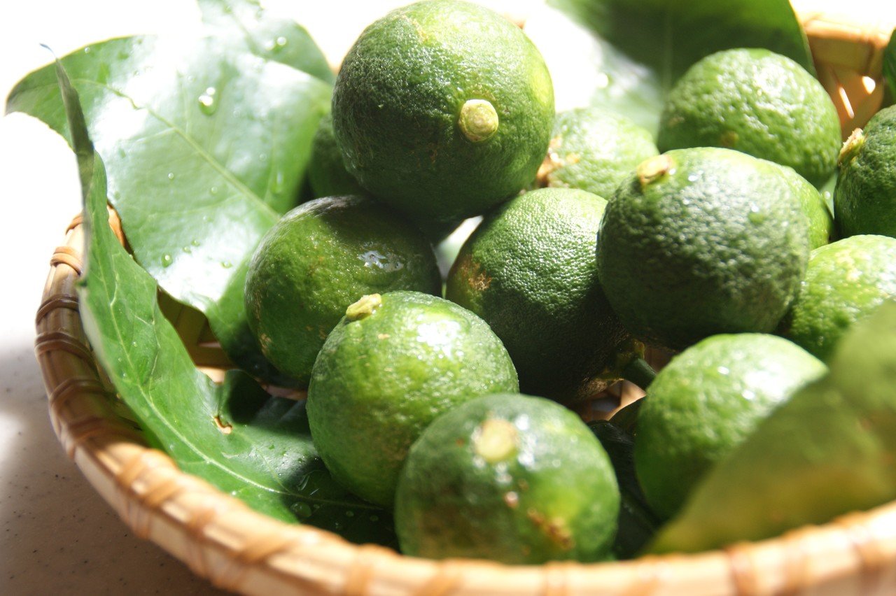 高知の食材 仏手柑 ぶっしゅかん 食の工房オフィスアルベロ イタリア料理教室 In 神戸 Note 高知の食材 仏手柑 ぶっしゅかん 食の工房オフィスアルベロ イタリア料理教室 In 神戸 Note