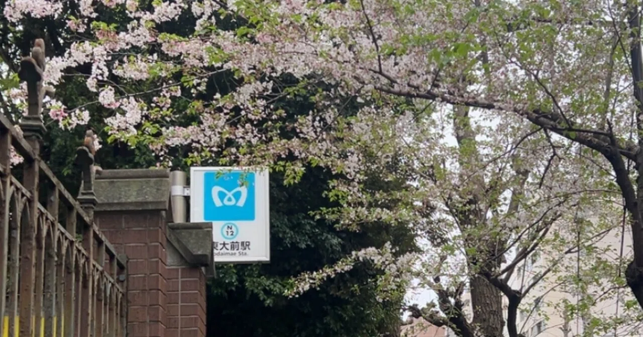 東京大学工学系研究科 社会基盤学科 院試体験談 〜面接編〜｜江暮