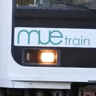 鉄研のパイナップル