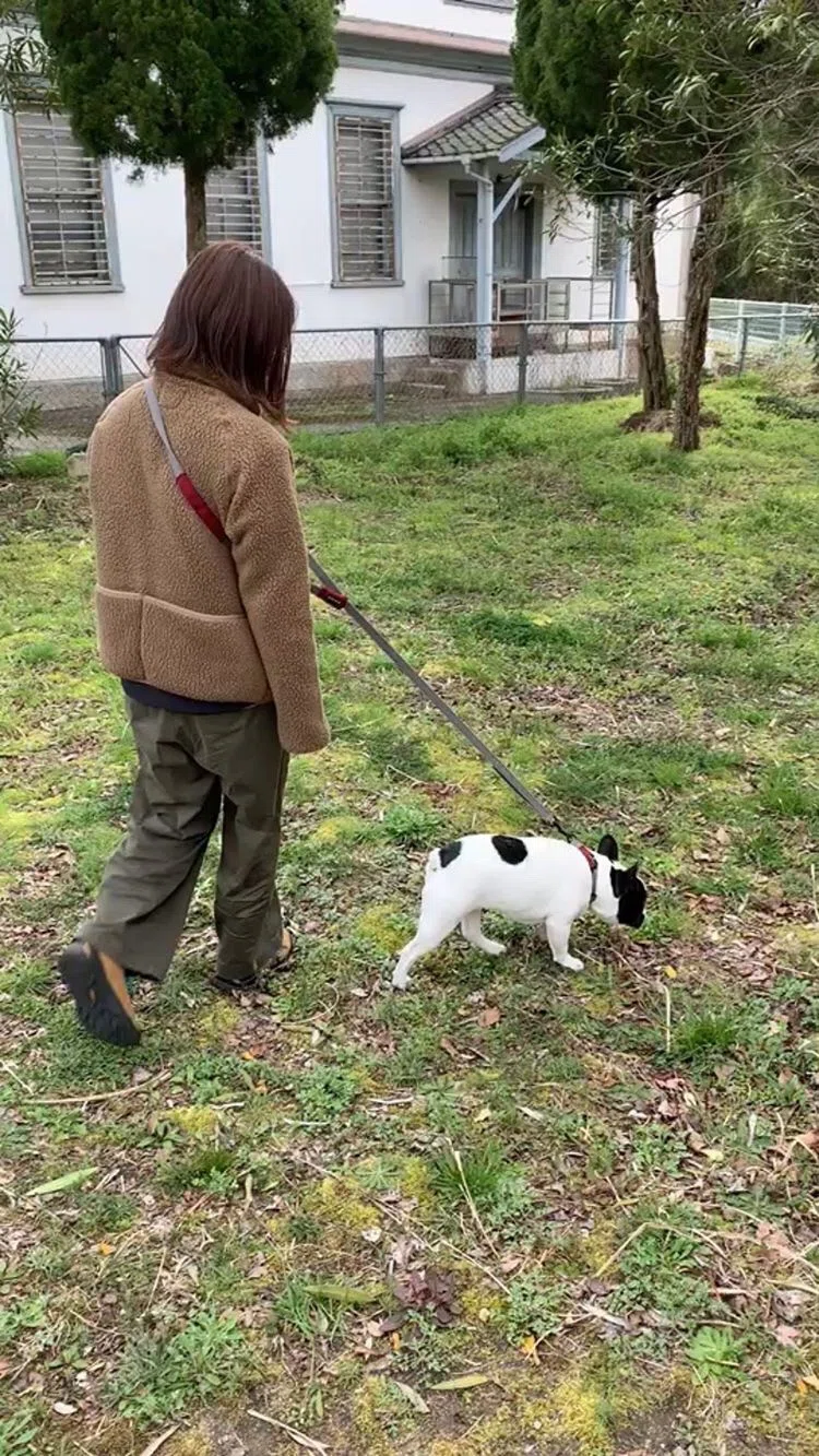 犬連れキャンプでの便利グッズpart3 Paw Campers Note