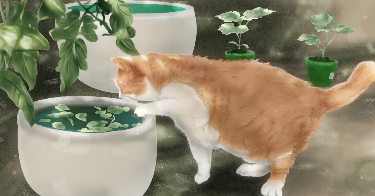 お庭の水鉢で…完成｜ෆもふෆ