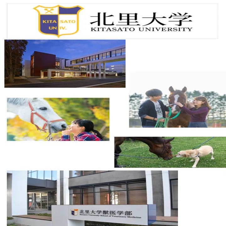北里大学｜獣医学部入試情報まとめ