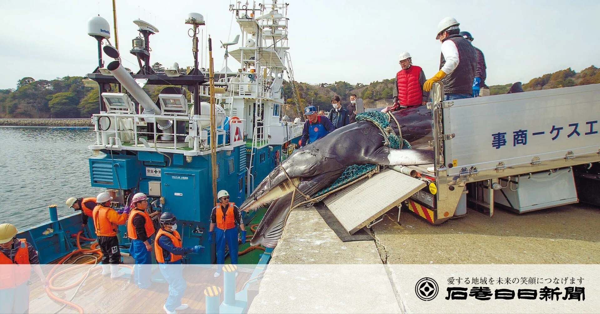 地域に広がる波紋…根付いた食文化 存続への不安｜石巻Days（石巻日日