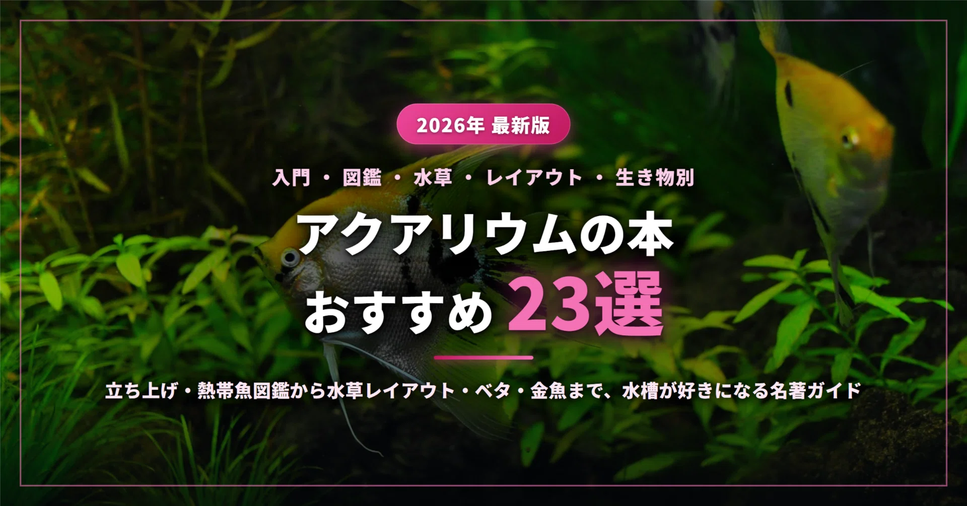2026年最新】アクアリウムのおすすめ本23選｜初心者の立ち上げ・熱帯魚
