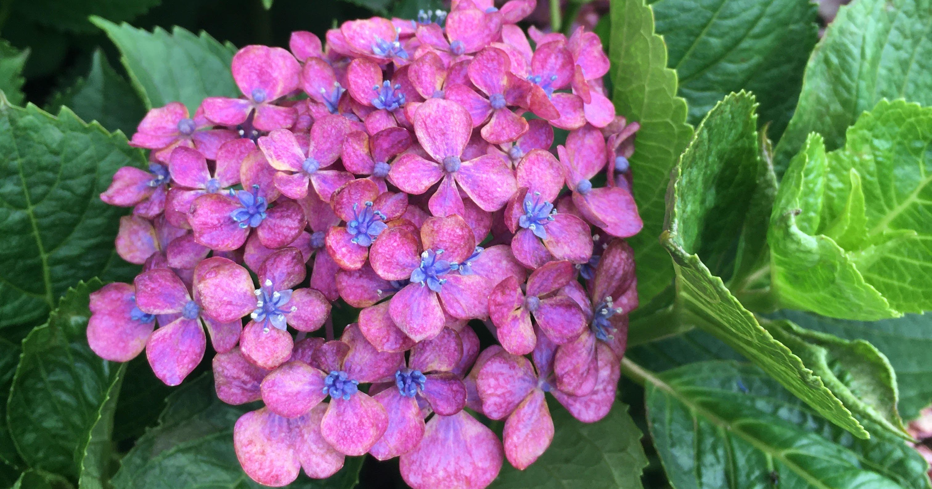 継続は力なり 力は努力なり Ahiraga Note