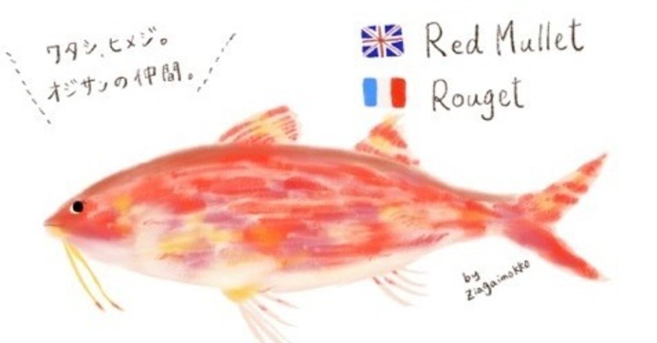 ロンドン魚屋の全然役に立たないお魚図鑑 Red Mullet プリヒル姉さん 魚屋 Note ロンドン魚屋の全然役に立たないお魚図鑑 Red Mullet プリヒル姉さん 魚屋 Note