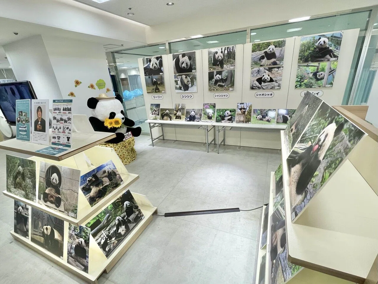毎日パンダコレクション」再販日決定のお知らせ｜上野案内所