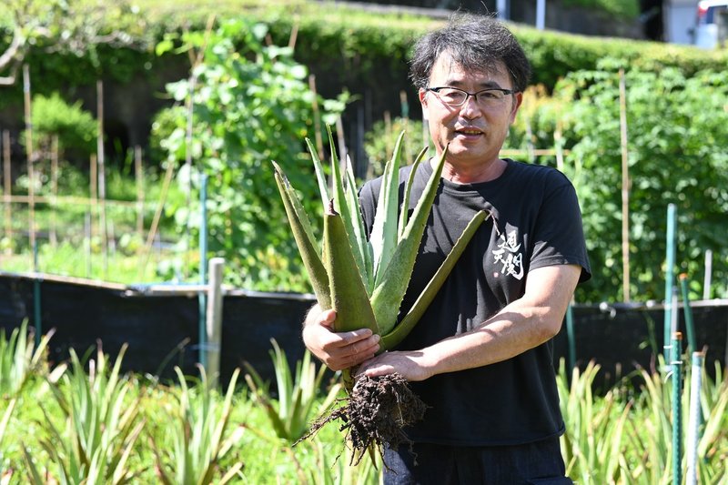 日本 と名の付くアロエセンター With Shimoda Note