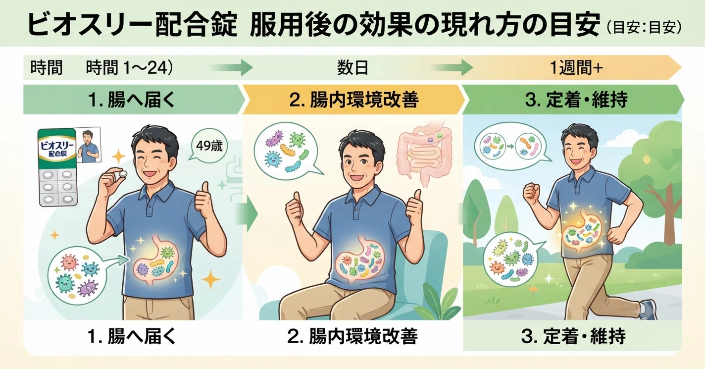 活動歴および当時の関連ビジュアル記録