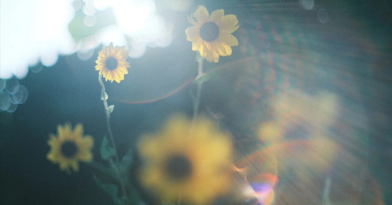 AUTO YASHINON-DX 50mm F1.4｜月曜休み。
