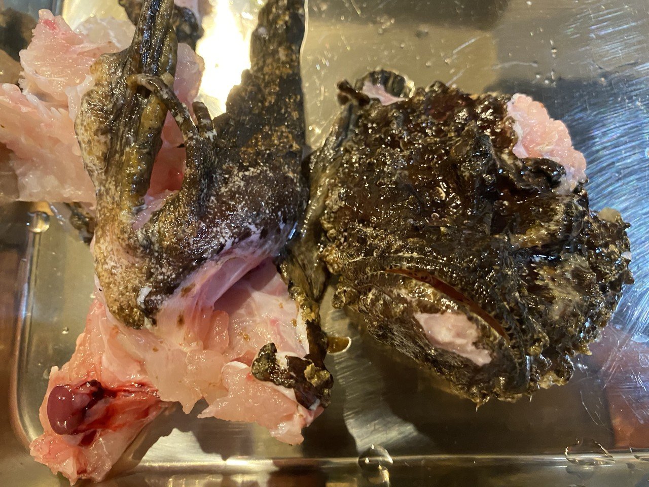 猛毒オコゼの唐揚げ Noriaki Kawanishi 田舎暮らしデザイナー Note 猛毒オコゼの唐揚げ Noriaki Kawanishi 田舎暮らしデザイナー Note