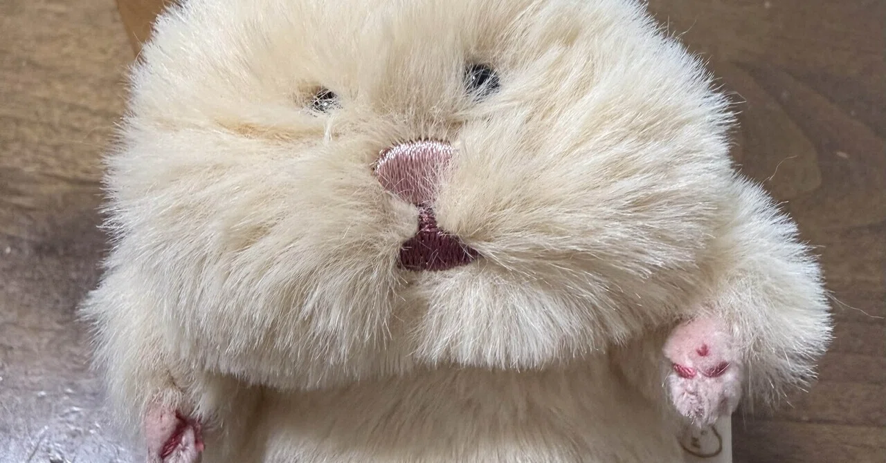 ようやくはむにぎりがうちにきた｜月野未知
