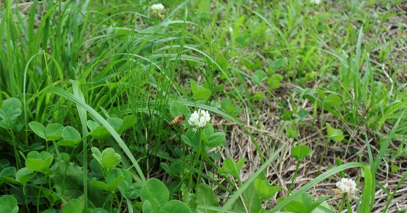 心を病んだときは 身近な人 に相談しないこと maru note