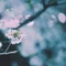山城百音