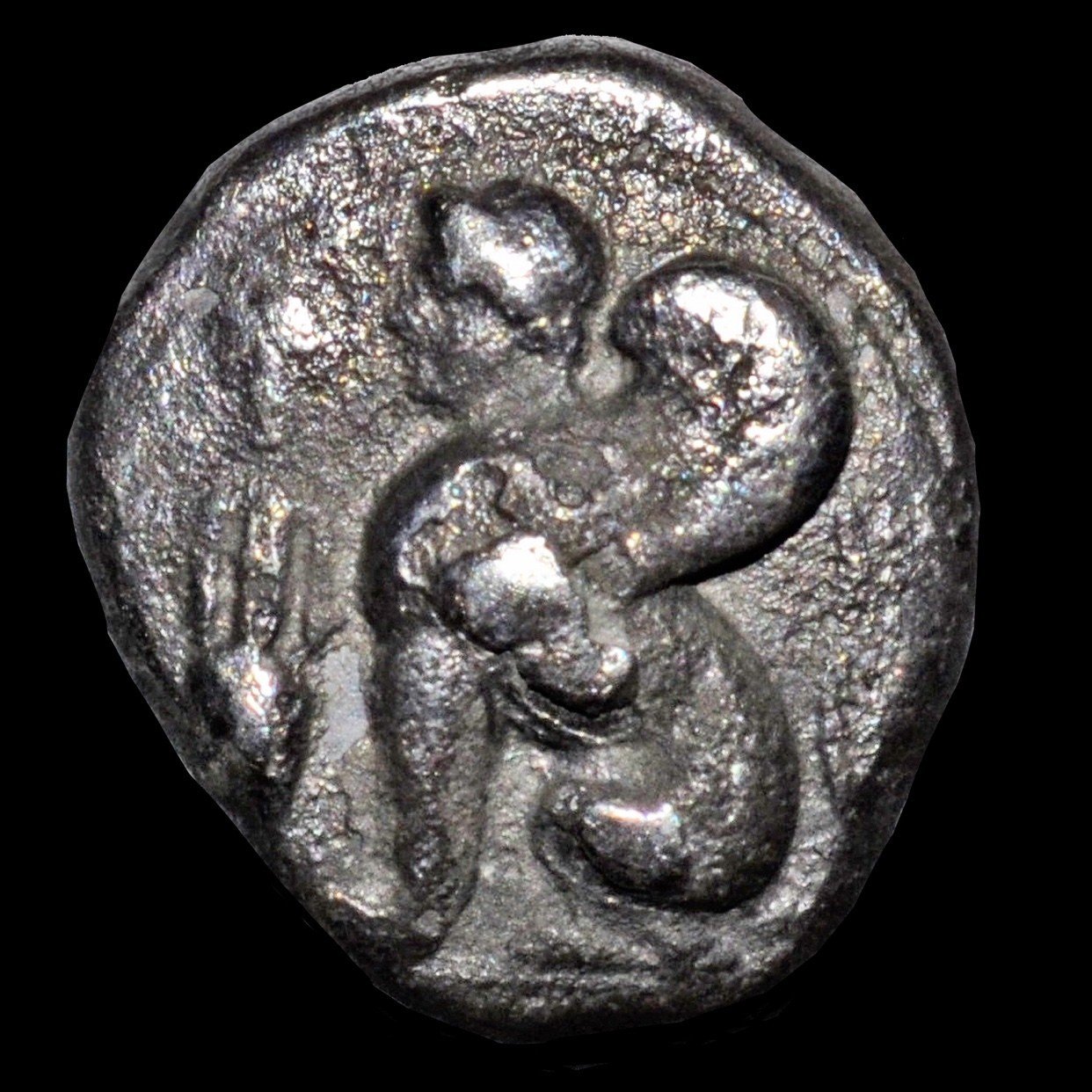 アンティークコインの世界 〜名品古代貨幣解説〜｜Shelk🦋