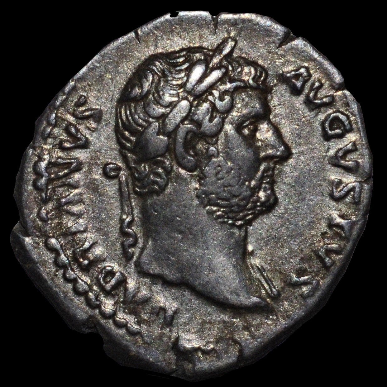 TKC037 ハドリアヌスのデナリウスコイン ローマ帝国 AD117-138 ハドリアヌス デナリウス銀貨 NGC Ch XF 5