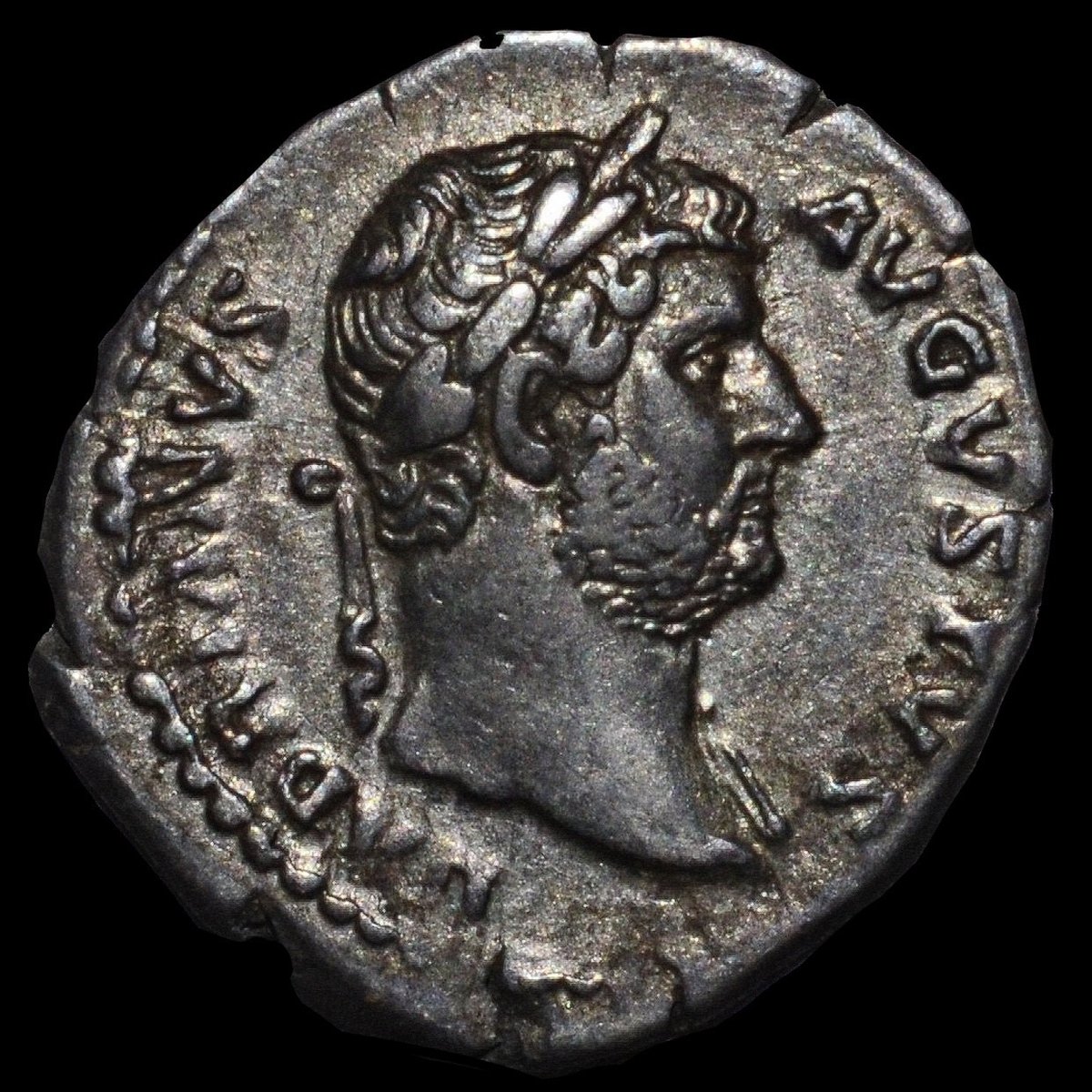 アンティークコインの世界 〜名品古代貨幣解説〜｜Shelk🦋