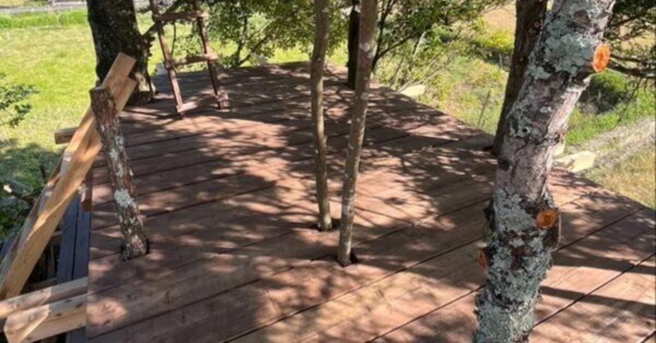 DIY Practice Record 10: Tree Deck Workshop Day 2｜MGM