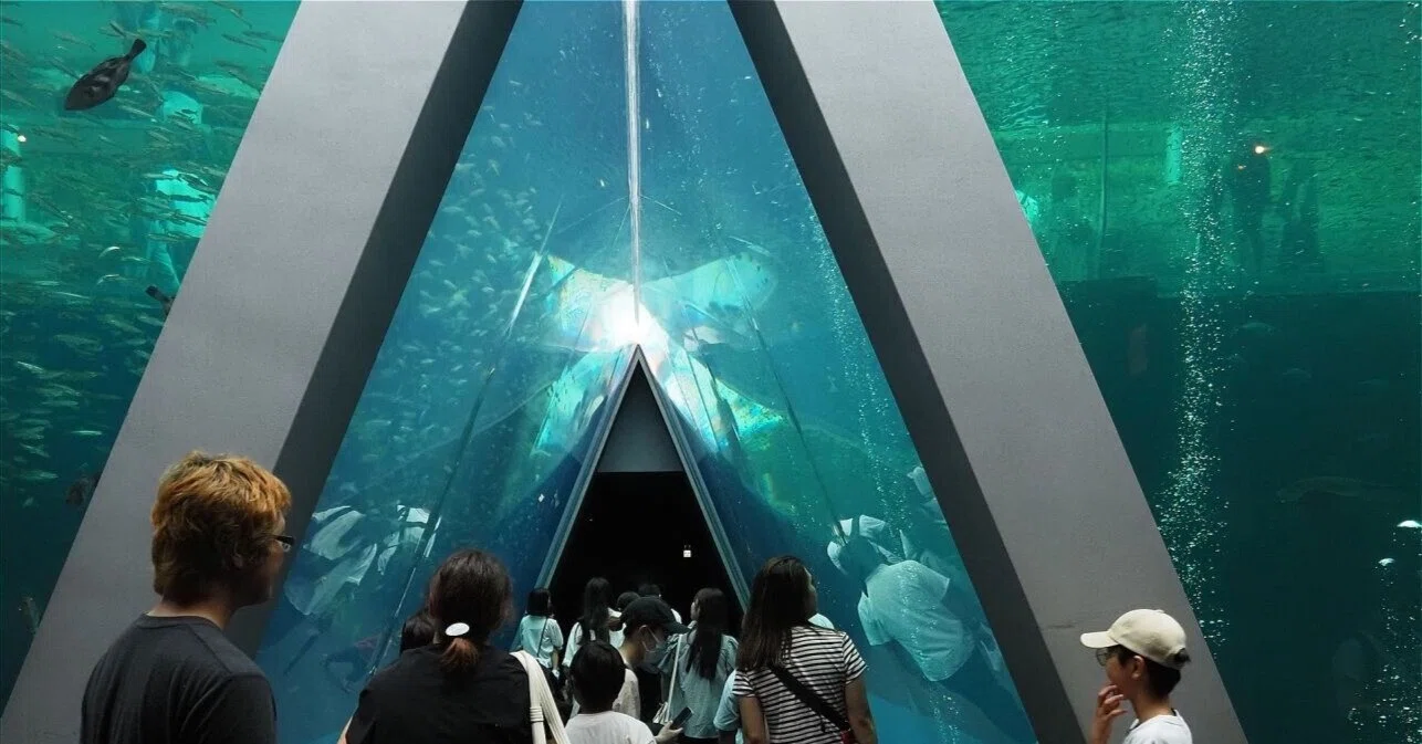 自分史上最高の水族館ー「環境水族館」アクアマリンふくしまー ｜川北 裕之