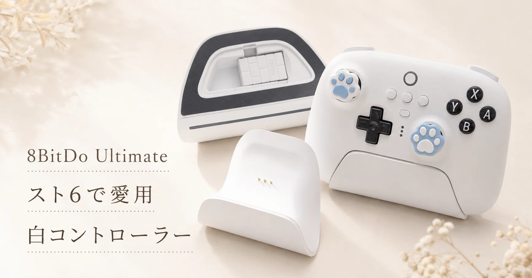 8BitDo Ultimate Bluetooth Controller正直レビュー｜小さい手でも使い