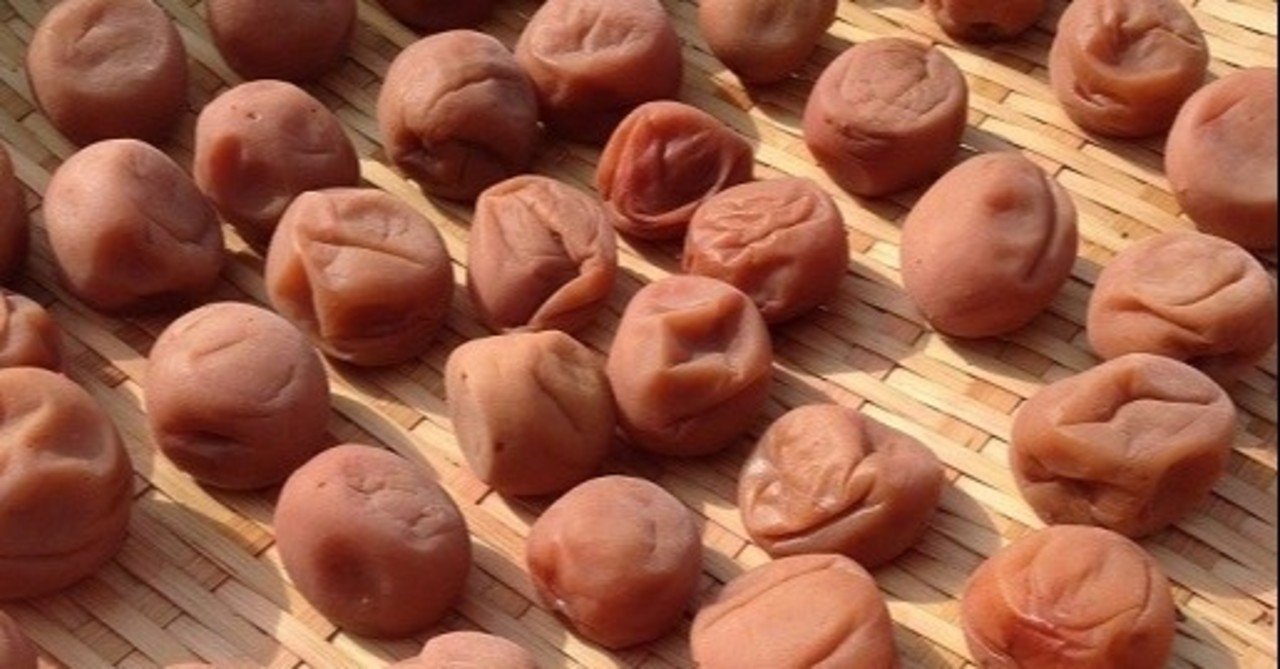 塩分量と土用干し 保存方法における梅干しのうまみの考察 猛牛打線 Note 塩分量と土用干し 保存方法における梅干しのうまみの考察 猛牛打線 Note