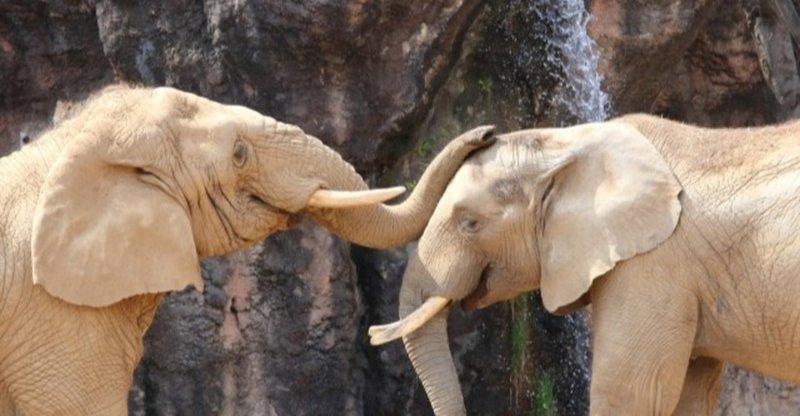 人に優しくされたい と思ったら 試してみたい３つのこと ばんばんよしこ 手帳講座 起業女子向けsns講座 note