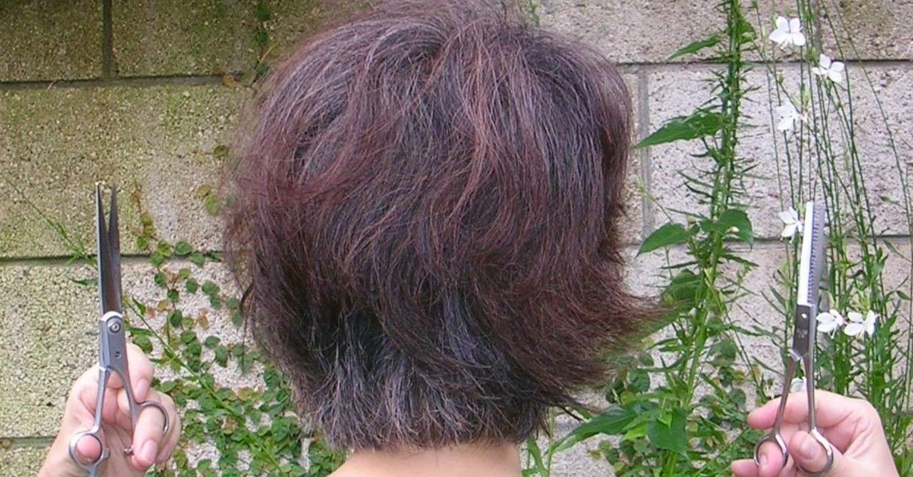 セルフカッターの挑戦 妻のヘアカットとヘアカラー おちまこと Note