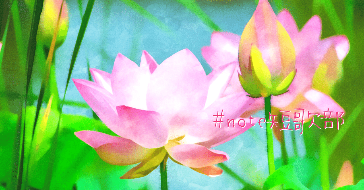 7月7日 誕生花は睡蓮 Note短歌部 御子柴 流歌 Note 7月7日 誕生花は睡蓮 Note短歌部 御子柴 流歌 Note